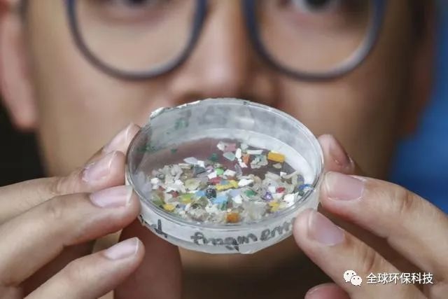 關(guān)于“微塑料”的危害，你了解多少？